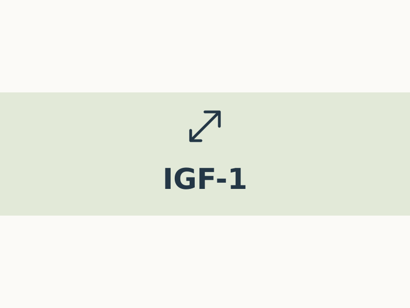 igf-1
