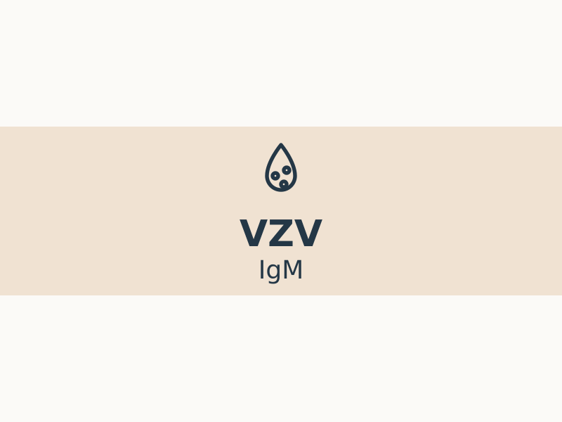vzv-igm