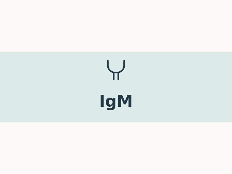 igm
