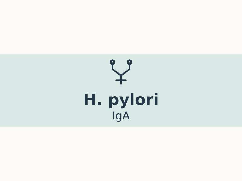 h-pylori-iga-kiekybinis