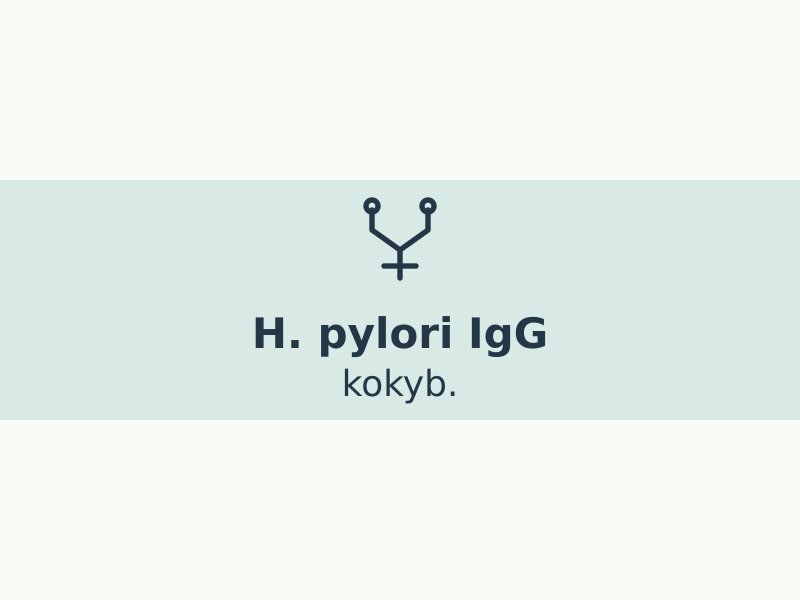 h-pylori-igg-kokybinis