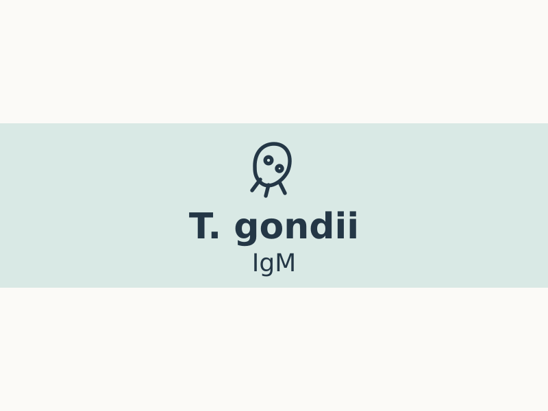 toxoplasma-gondii-igm